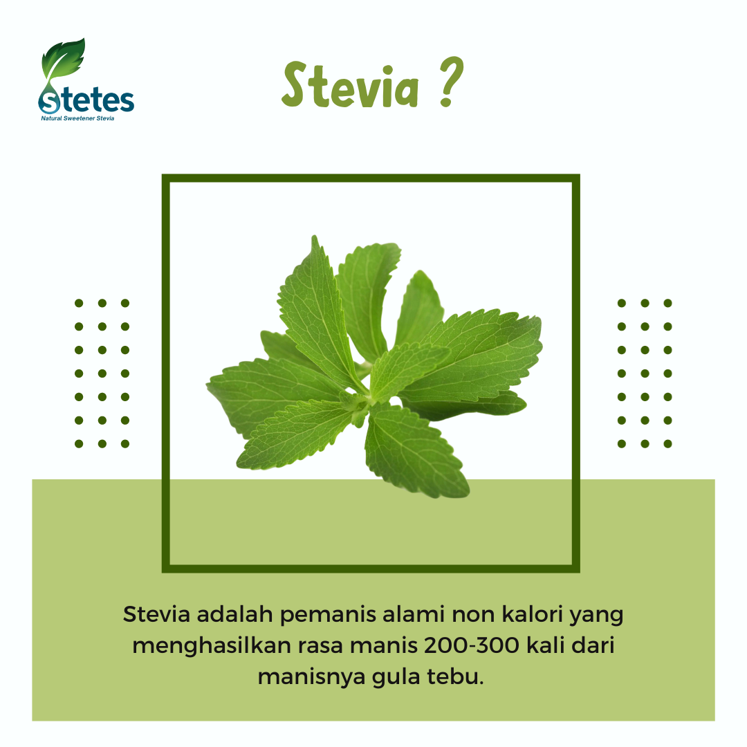 STETES stevia Natural Sweetener 5ml