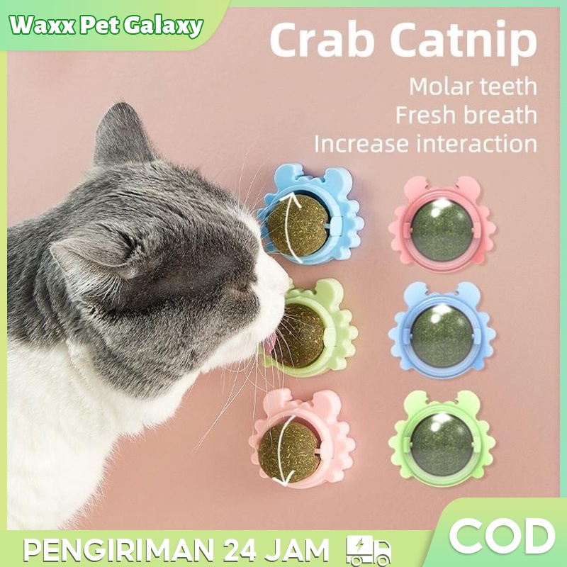 Bola Catnip Kucing (Beli 1 Gratis 1)💰 logo