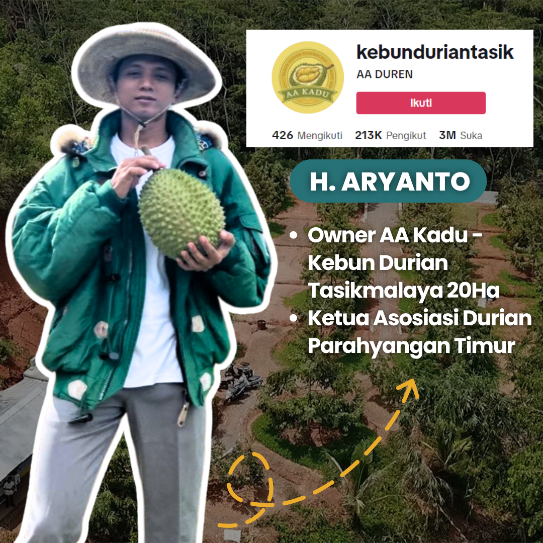 Paket 3 Bibit Durian Premium by AADUREN Tasikmalaya - DGMT