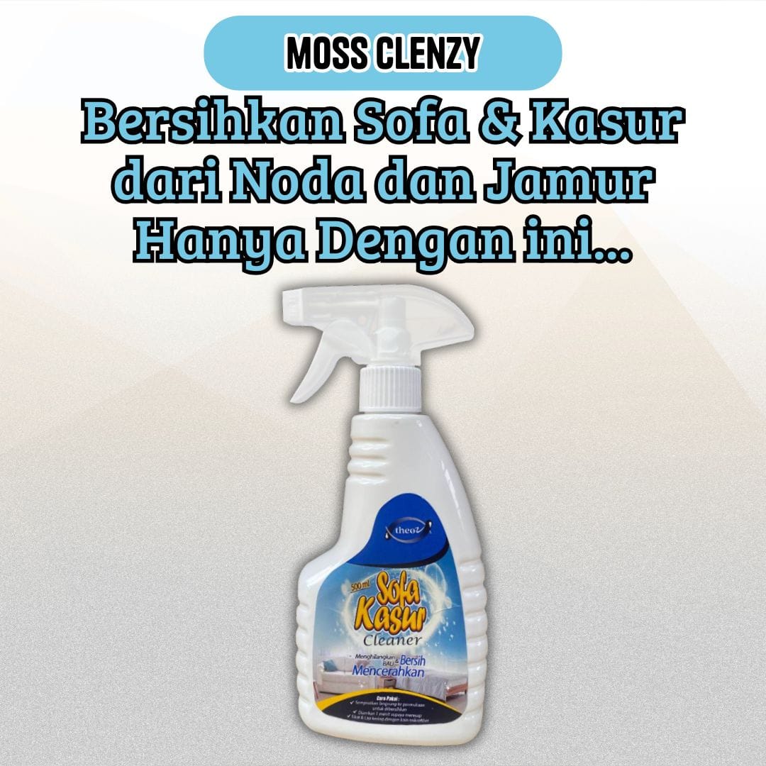 Moss Clenzy Google logo