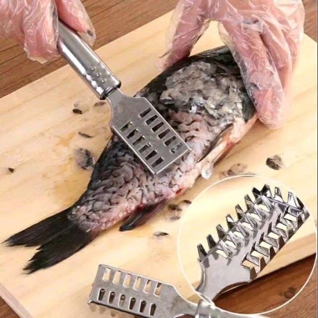 Fish Scaler, BELI 1 GRATIS 1 ✨ logo