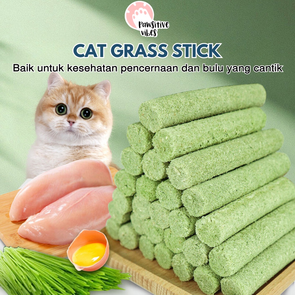 Cat Grass Stick (2Pack)💰 logo