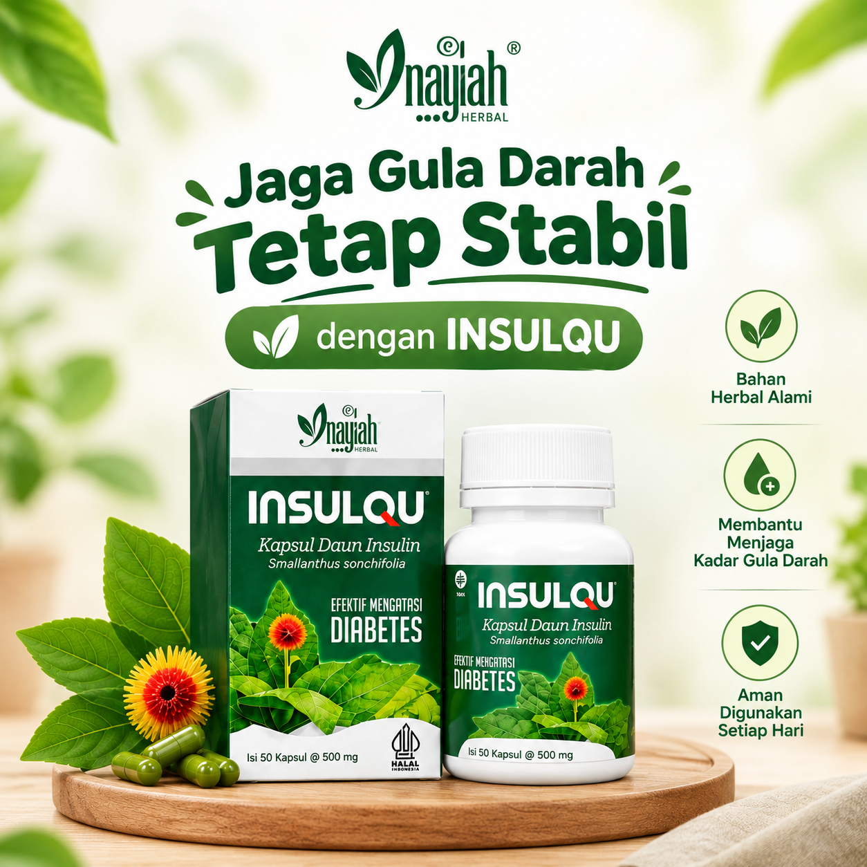 KAPSUL HERBAL INSULQU - NDR logo